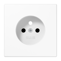 centre plate f.socket - JUNG (pavadinimas tikslinamas)