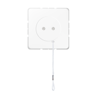 Pull-Cord Switch - JUNG (pavadinimas tikslinamas)