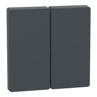 Klavišas dvigubam jungikliui antracito spalvos System Design Merten - SCHNEIDER ELECTRIC