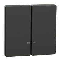 Klavišas dvigubam jungikliui su pašvietimu antracito spalvos System Design Merten - SCHNEIDER ELECTRIC