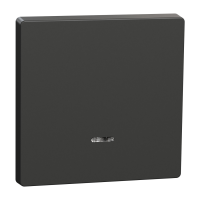 Klavišas viengubam jungikliui su pašvietimu antracito spalvos System Design Merten - SCHNEIDER ELECTRIC
