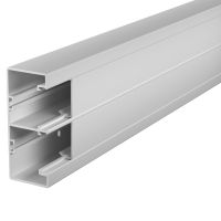 Rozetinis kanalas Rapid 45-2 2-jų skyrių 53x130x2000 Polivinilo chloridas šviesiai pilka RAL 7035 GK-53130LGR - OBO BETTERMANN (pavadinimas tikslinamas)