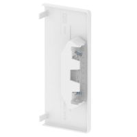 Galinis behalogenis dangelis 70x170 Polikarbonatas/akrilnitrilo-butadieno-stirenas baltas RAL 9010 GKH-E70170RW - OBO BETTERMANN (pavadinimas tikslinamas)
