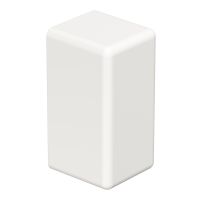 Galinis dangtelis behalogenis 10x20mm Polikarbonatas/akrilnitrilo-butadieno-stirenas baltas RAL 9010 WDKH-E10020RW - OBO BETTERMANN (pavadinimas tikslinamas)