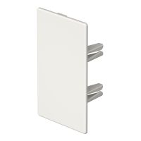 Galinis dangtelis behalogenis 60x110mm Polikarbonatas/akrilnitrilo-butadieno-stirenas baltas RAL 9010 WDKH-E60110RW - OBO BETTERMANN (pavadinimas tikslinamas)