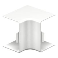 Vidinio kampo dangtis behalogenis 30x45mm Polikarbonatas/akrilnitrilo-butadieno-stirenas baltas RAL 9010 WDKH-I30045RW - OBO BETTERMANN (pavadinimas tikslinamas)