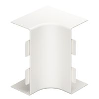 Vidinio kampo dangtis behalogenis 60x150mm Polikarbonatas/akrilnitrilo-butadieno-stirenas baltas RAL 9010 WDKH-I60150RW - OBO BETTERMANN (pavadinimas tikslinamas)