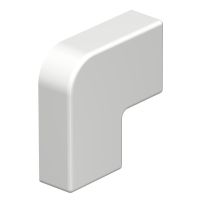 Plokščio kampo dangtis behalogenis 10x20mm Polikarbonatas/akrilnitrilo-butadieno-stirenas baltas RAL 9010 WDKH-F10020RW - OBO BETTERMANN (pavadinimas tikslinamas)