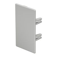Galinis dangtelis behalogenis 60x110mm Polikarbonatas/akrilnitrilo-butadieno-stirenas šviesiai pilka RAL 7035 WDKH-E60110LGR - OBO BETTERMANN (pavadinimas tikslinamas)