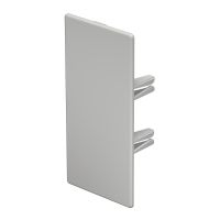 Galinis dangtelis 60x130mm Polivinilo chloridas šviesiai pilka RAL 7035 WDK HE60130LGR - OBO BETTERMANN (pavadinimas tikslinamas)