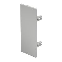 Galinis dangtelis 60x150mm Polivinilo chloridas šviesiai pilka RAL 7035 WDK HE60150LGR - OBO BETTERMANN (pavadinimas tikslinamas)