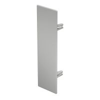 Galinis dangtelis 60x210mm Polivinilo chloridas šviesiai pilka RAL 7035 WDK HE60210LGR - OBO BETTERMANN (pavadinimas tikslinamas)