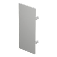 Galinis dangtelis 100x230mm Polivinilo chloridas šviesiai pilka RAL 7035 WDK HE100230LGR - OBO BETTERMANN (pavadinimas tikslinamas)