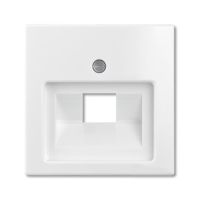 Dangtelis kompiuteriniam lizdui viengubas RJ45 baltos spalvos 1803-94-507 Basic 55 - ABB