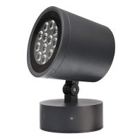 Prožektorius lauko LED 30W 24V IP65 2700K 1500lm D-182mm H-192mm antracito spalvos COLT 36W RGBWW - DEKO LIGHT