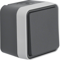 Perjungiklis v/t kryžminis IP55 pilkos matinės spalvos 10A 250V W.1 - BERKER