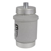 Saugiklis 80A DIV gG 500V - ETI