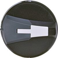 Rankena perjungikliui ant skydo durų CLBS-EH80/G CO - ETI