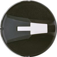 Rankena perjungikliui ant skydo durų CLBS-EH125/G CO - ETI