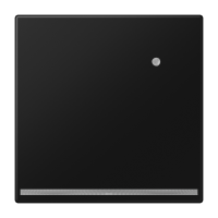 Šviestuvas p/t LED 0.5W 4000K juodas matinis LS - JUNG