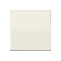 Klavišas viengubam jungikliui dramblio kaulo spalvos be rėmelio AS 500 - JUNG