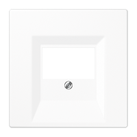 Dangtelis TAE/USB lizdui baltos spalvos LS - JUNG