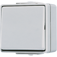 Perjungiklis v/t viengubas IP44 pilkas 10A 250V - JUNG