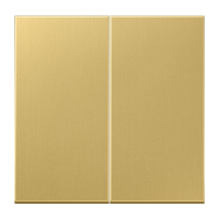 Klavišas dvigubam jungikliui žalvaris LS - JUNG