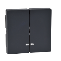 Klavišas dvigubam jungikliui su pašvietimu antracito spalvos System M Merten - SCHNEIDER ELECTRIC