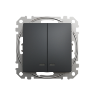 Jungiklis p/t dvigubas su pašvietimu be rėmelio antracito spalvos 10A 250V SEDNA DESIGN - SCHNEIDER ELECTRIC