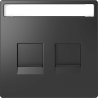 Dangtelis dvigubam moduliniam lizdui su užuolaidėle ir markiravimo vieta antracito spalvos System Design - SCHNEIDER ELECTRIC