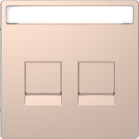 Dangtelis dvigubam moduliniam lizdui su užuolaidėle ir markiravimo vieta šampano spalvos System Design - SCHNEIDER ELECTRIC