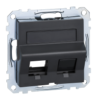 Dangtelis dvigubam RJ45 lizdui su markiravimo vieta antracito spalvos System M - SCHNEIDER ELECTRIC