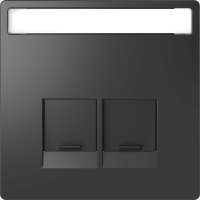 Dangtelis dvigubam RJ45 lizdui su užuolaidėle ir markiravimo vieta antracito spalvos System Design - SCHNEIDER ELECTRIC