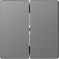 Klavišas dvigubam jungikliui nerūdijančio plieno spalvos System Design - SCHNEIDER ELECTRIC