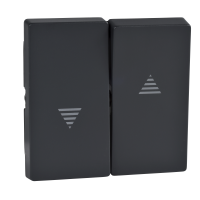 Klavišas dvigubam jungikliui žaliuzių su rodyklėmis antracito spalvos System M - SCHNEIDER ELECTRIC