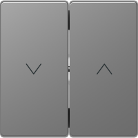Klavišas dvigubam jungikliui žaliuzių su rodyklėmis nerūdijančio plieno spalvos System Design - SCHNEIDER ELECTRIC