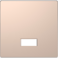 Klavišas viengubam jungikliui su langeliu šampano spalvos System Design - SCHNEIDER ELECTRIC