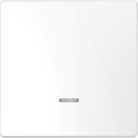 Klavišas viengubam jungikliui su pašvietimu baltas System Design - SCHNEIDER ELECTRIC