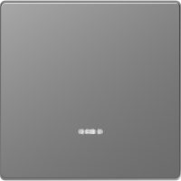 Klavišas viengubam jungikliui su pašvietimu nerūdijančio plieno spalvos System Design - SCHNEIDER ELECTRIC