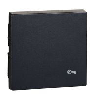 Klavišas viengubam jungikliui su simboliu "Raktas" antracito spalvos System M - SCHNEIDER ELECTRIC