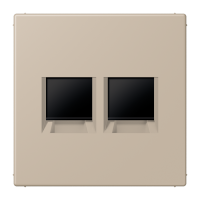 Dangtelis dvigubas kompiuterio lizdui UMA Kat.6 ombre naturelle claire LS - JUNG