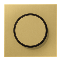 Dangtelis šviesos reguliatoriui žalvario spalvos LS - JUNG