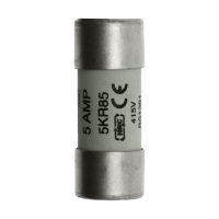 Bussmann series low voltage british standard fuse 5A 415V AC HOUSE SERVICE - EATON (pavadinimas tikslinamas)