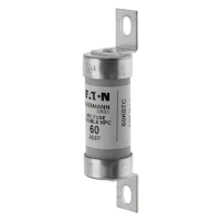 Bussmann series low voltage british standard fuse 60A 600V AC BRUSH FUSE CANADA - EATON (pavadinimas tikslinamas)