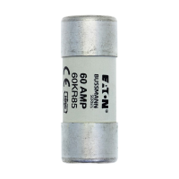 Bussmann series low voltage british standard fuse 60A 415V AC HOUSE SERVICE - EATON (pavadinimas tikslinamas)