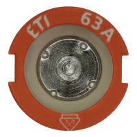 Bussmann series low voltage D screw cap gauge piece GAUGE PIECE D3 63A 500V FOR E33 - EATON (pavadinimas tikslinamas)