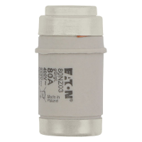 Bussmann series low voltage D0 fuse FUSE-D03 80A T GL/GG 400VAC M30 - EATON (pavadinimas tikslinamas)