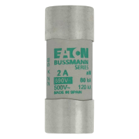 Bussmann series low voltage cylindrical fuse CYLINDRICAL FUSE 22 x 58 2A AM 690V AC - EATON (pavadinimas tikslinamas)