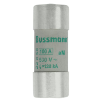 Bussmann series low voltage cylindrical fuse CYL FUSE >STR >22 x 58 100A GG 500V AC - EATON (pavadinimas tikslinamas)